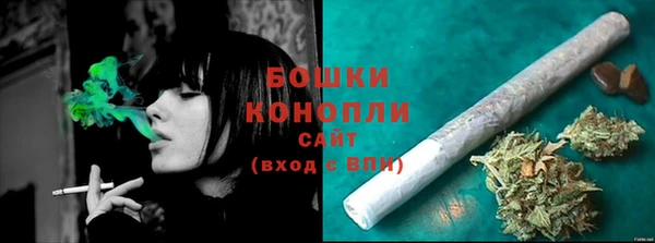 крисы Осташков