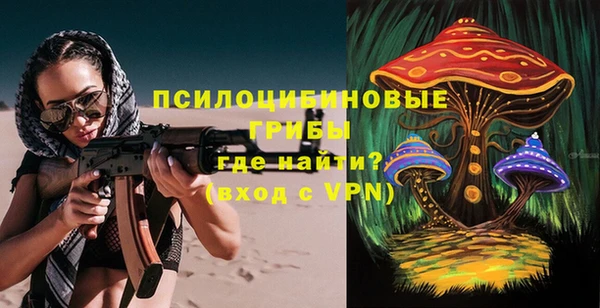 крисы Осташков