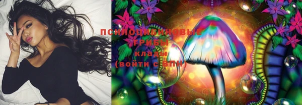 крисы Осташков