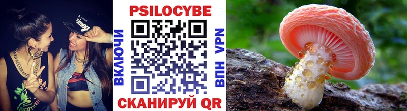 Галлюциногенные грибы Psilocybe  где найти наркотики  Славгород 