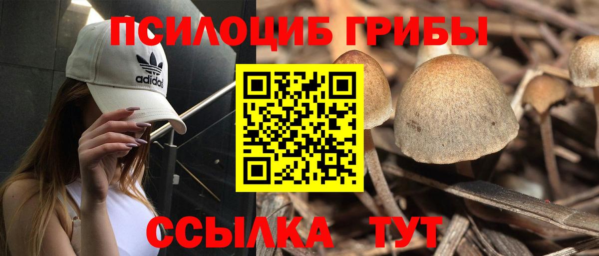 Псилоцибиновые грибы прущие грибы  Галлюциногенные грибы мухоморы  Славгород 