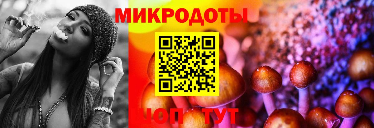 Псилоцибиновые грибы Cubensis  Псилоцибиновые грибы Psilocybine cubensis  Вход с VPN  Славгород 