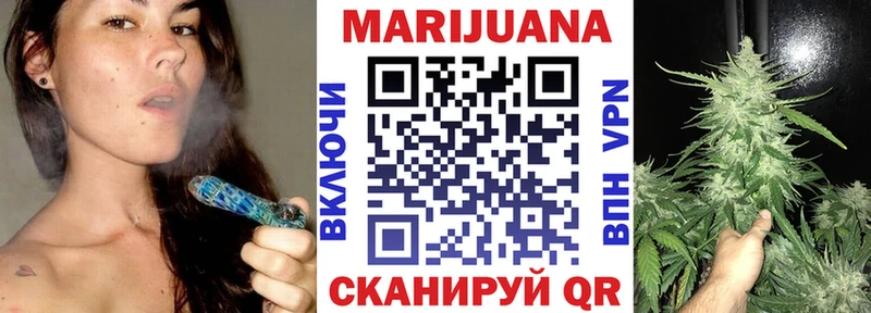 закладка  omg tor  Шишки марихуана сатива  Славгород 